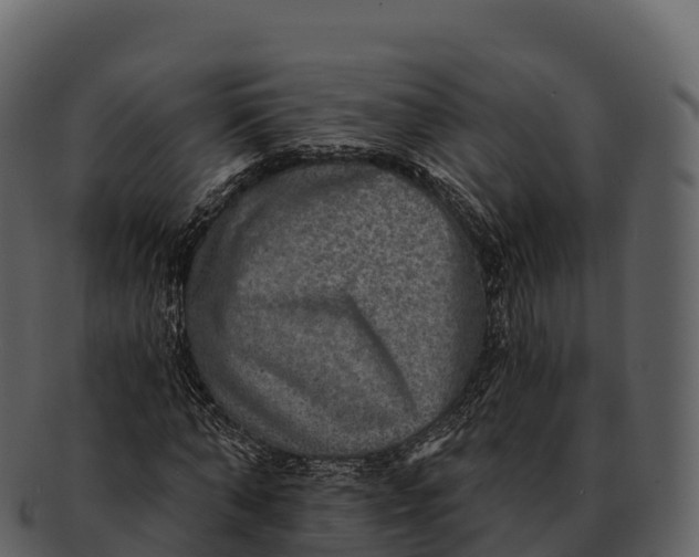 X0000092320870200710051255