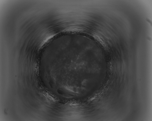 X0000092320872200710051255