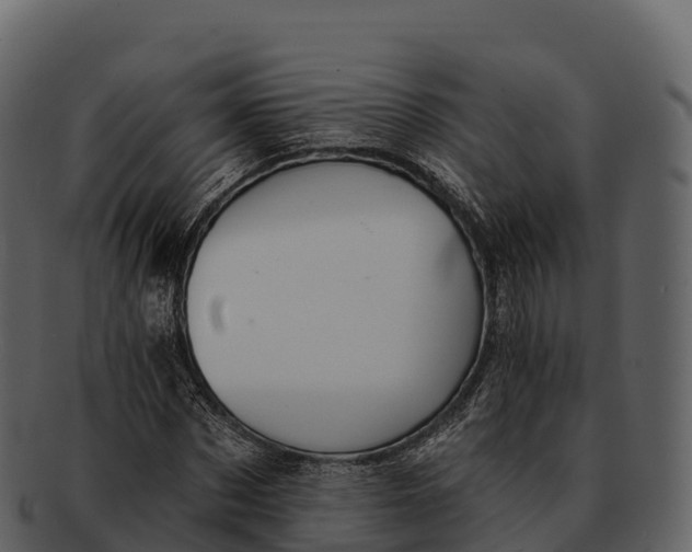 X0000092320873200710051255