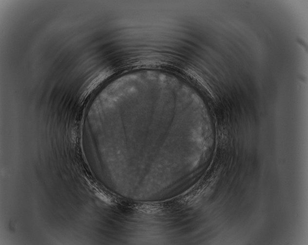 X0000092320874200710051255