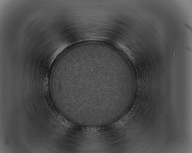 X0000092320875200710051255