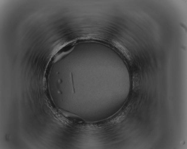 X0000092320876200710051255