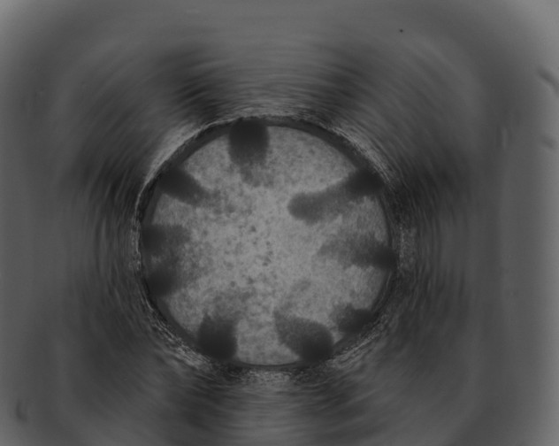 X0000092320878200710051255