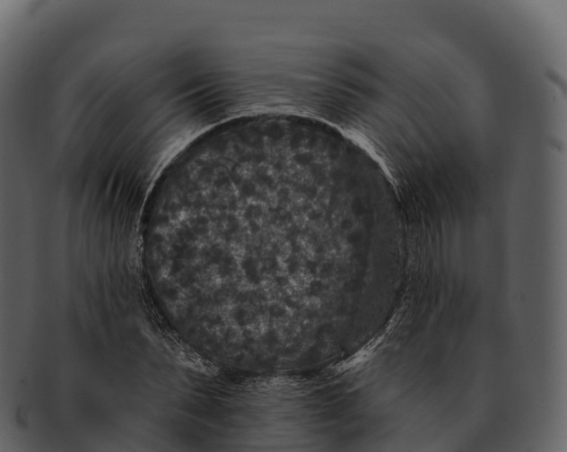 X0000092320879200710051255