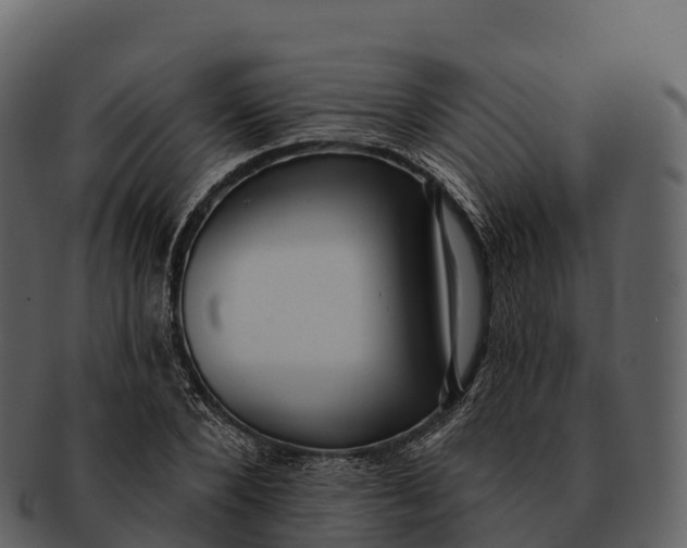 X0000092320880200710051255