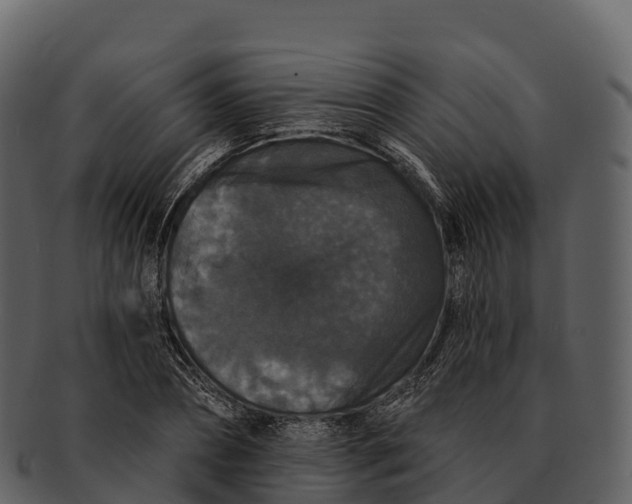 X0000092320882200710051255