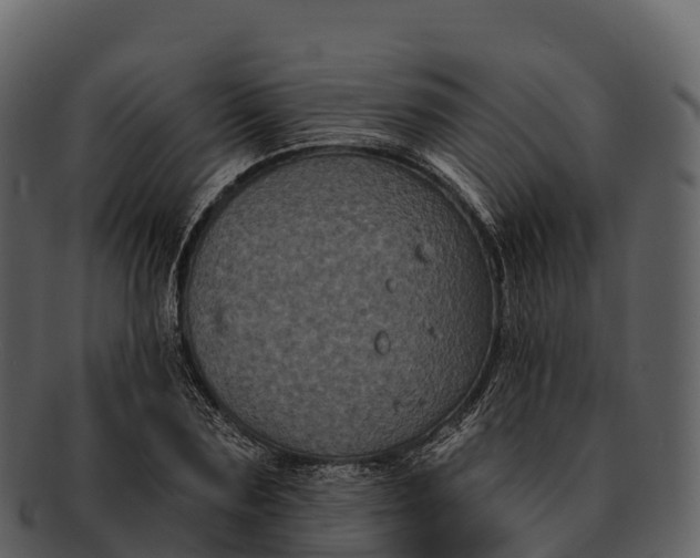 X0000092320883200710051254
