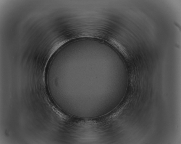 X0000092320884200710051254