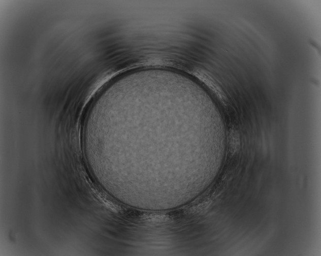 X0000092320886200710051254