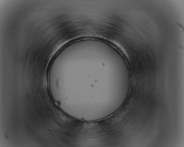 X0000092320887200710051254