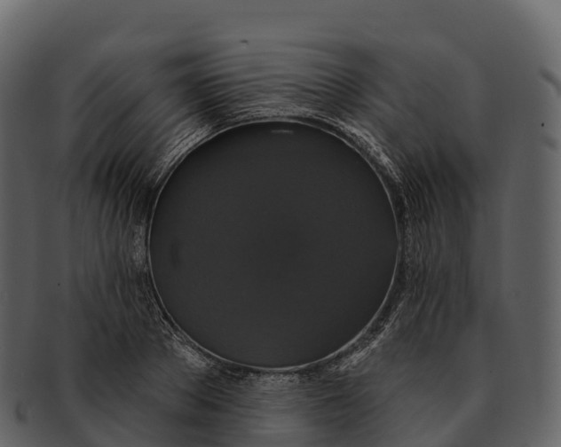 X0000092320889200710051254