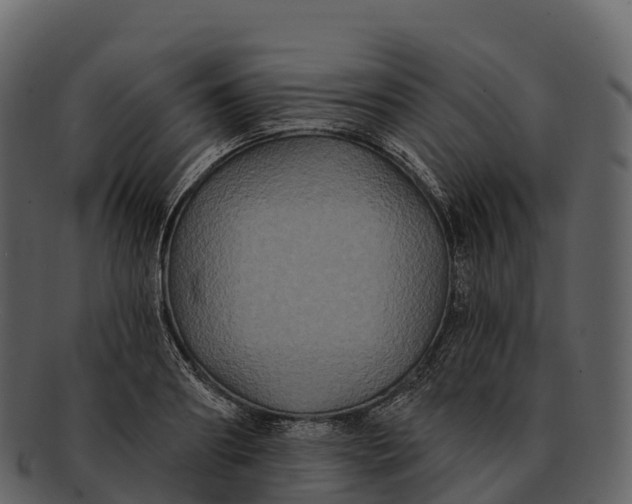 X0000092320890200710051254