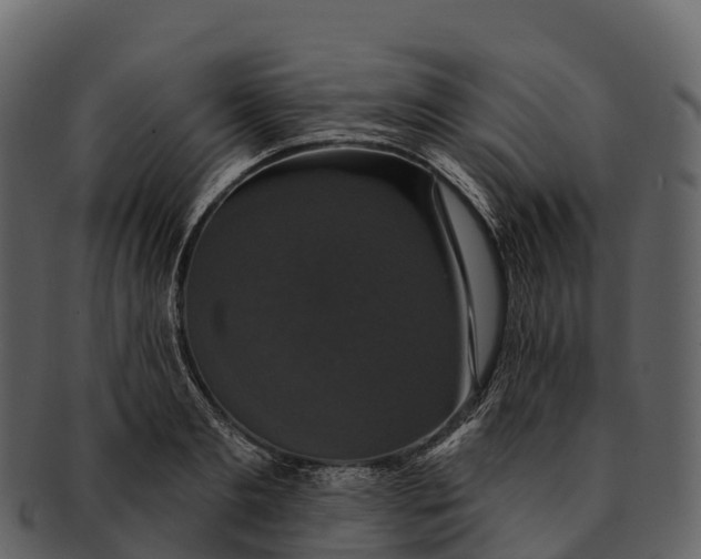 X0000092320893200710051254