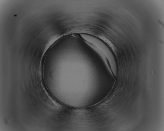 X0000092320894200710051254