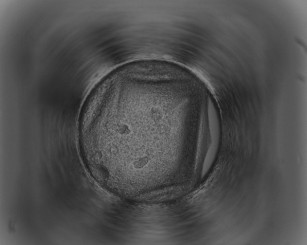X0000092320895200710051254