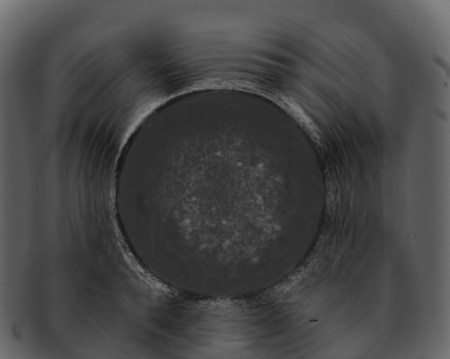 X0000092320896200710051254
