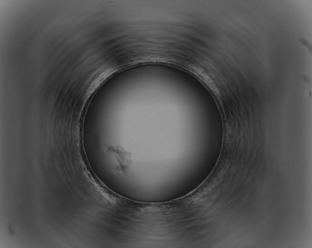 X0000092320898200710051254