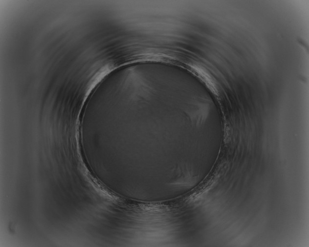 X0000092320899200710051254