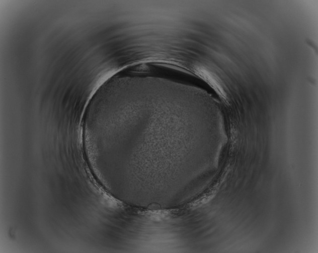 X0000092320900200710051254