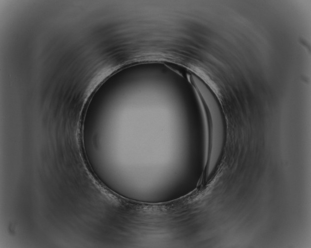 X0000092320901200710051254