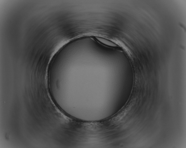 X0000092320902200710051254