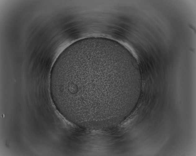 X0000092320903200710051254