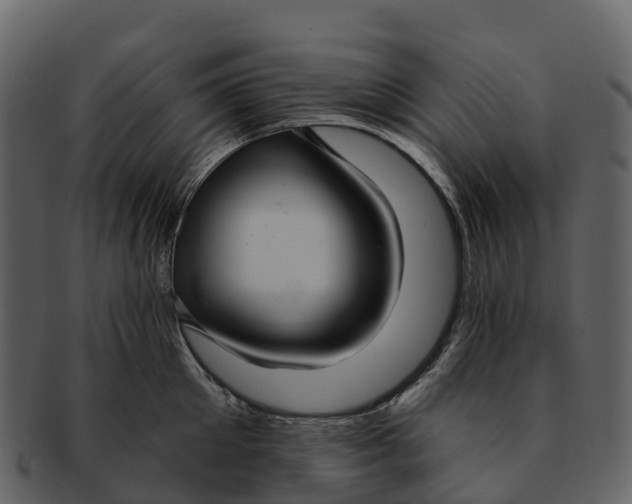 X0000092320905200710051254