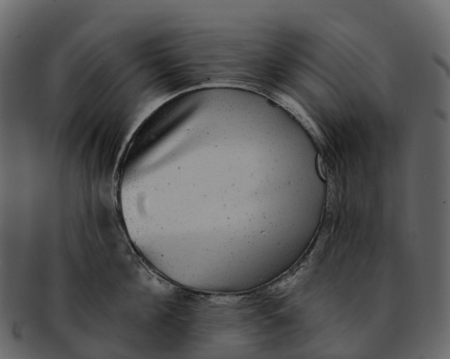 X0000092320908200710051254