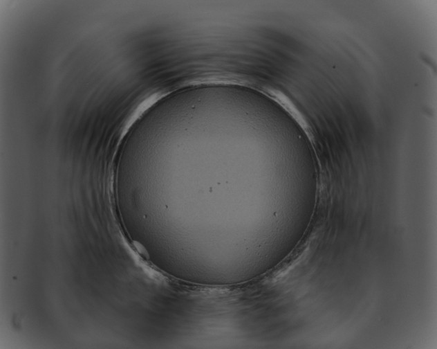 X0000092320909200710051254