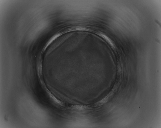 X0000092320910200710051254