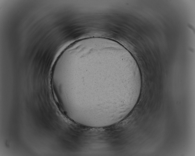 X0000092320912200710051254