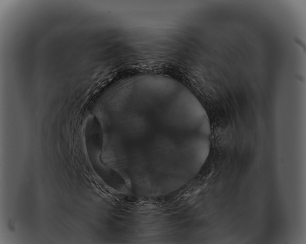 X0000092320913200710051254
