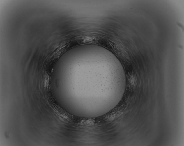 X0000092320914200710051254