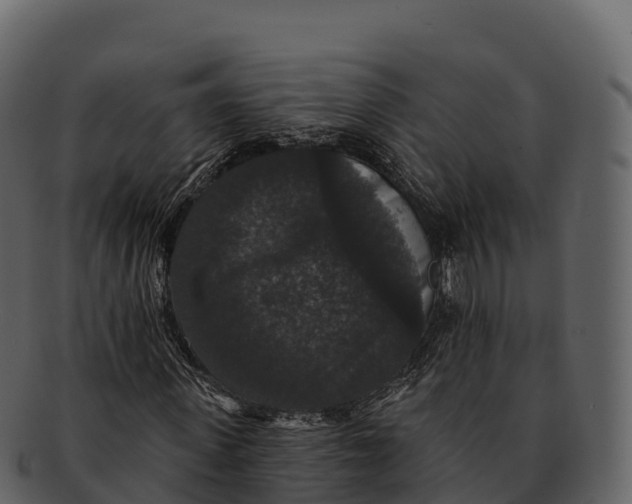 X0000092320915200710051254