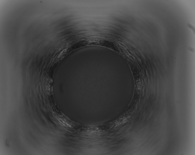 X0000092320916200710051254