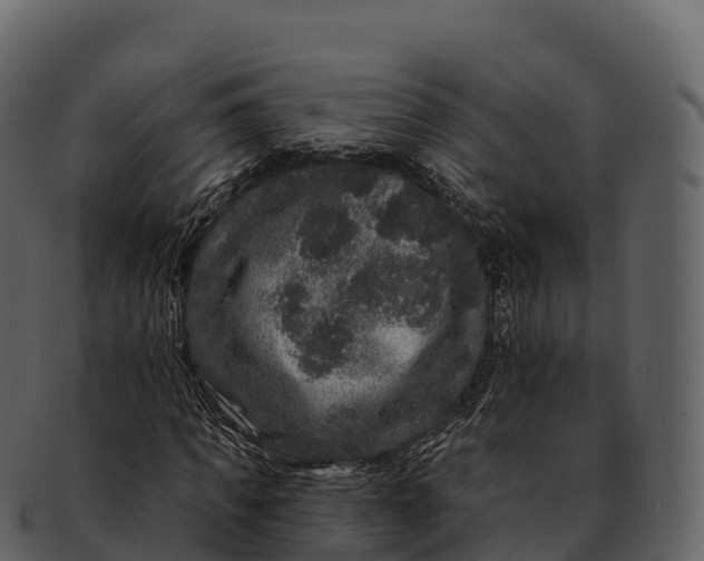 X0000092320917200710051254