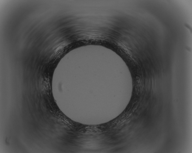 X0000092320918200710051254