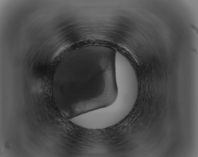 X0000092320919200710051254