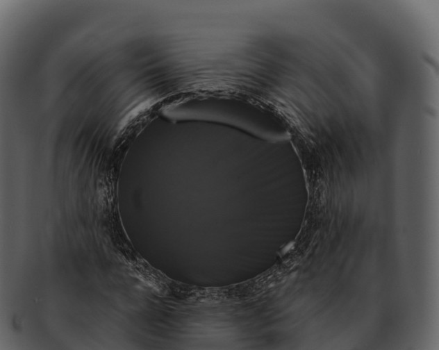 X0000092320920200710051254