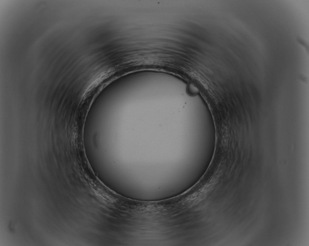 X0000092320922200710051254