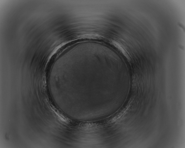 X0000092320923200710051254
