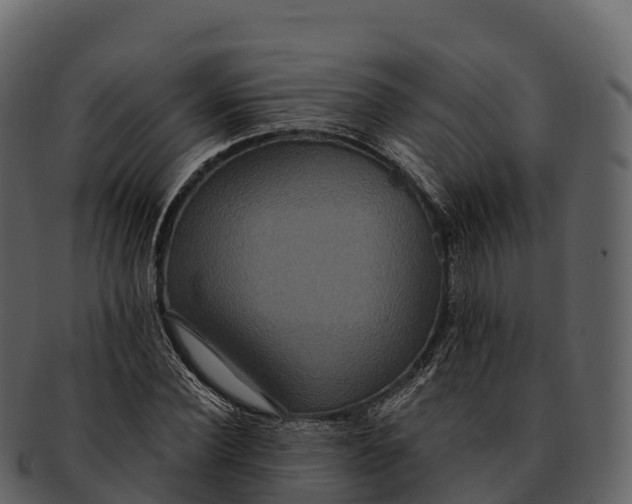 X0000092320924200710051254