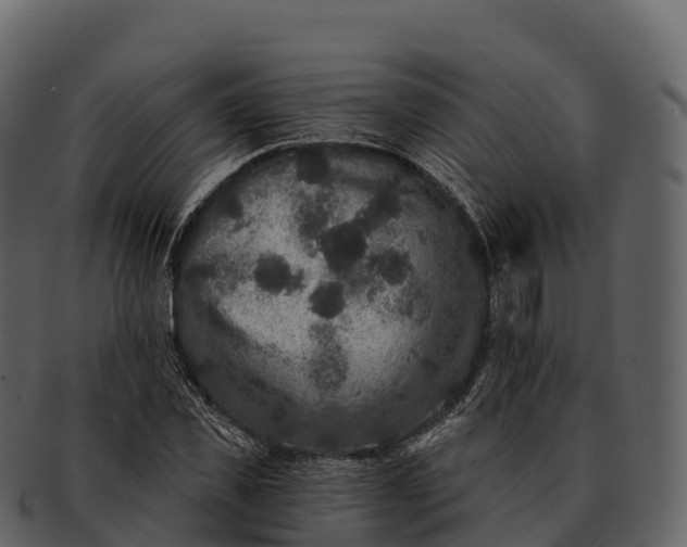 X0000092320925200710051254