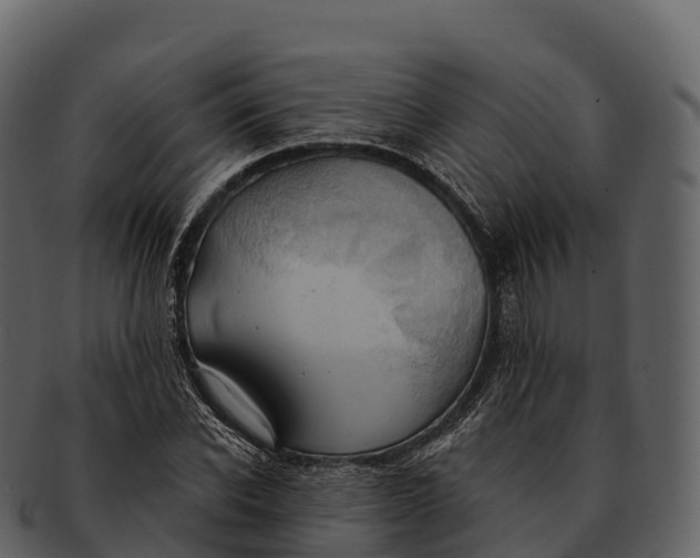 X0000092320926200710051254