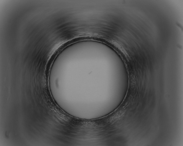 X0000092320927200710051254