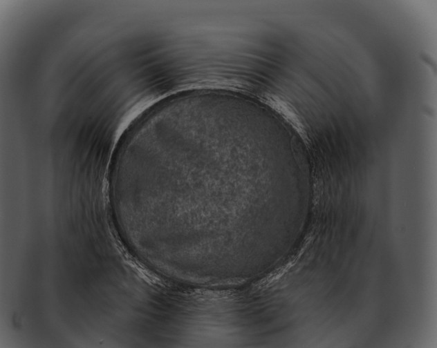 X0000092320928200710051254