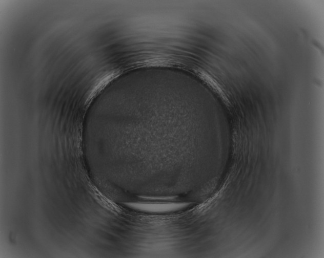 X0000092320930200710051254