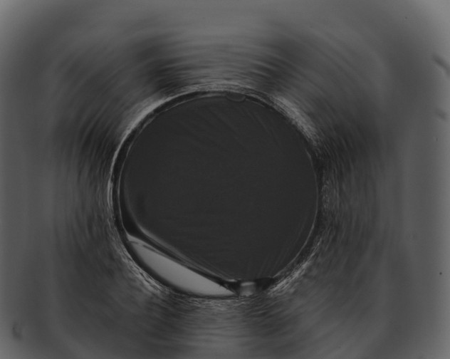 X0000092320932200710051254
