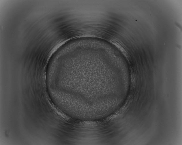 X0000092320933200710051254