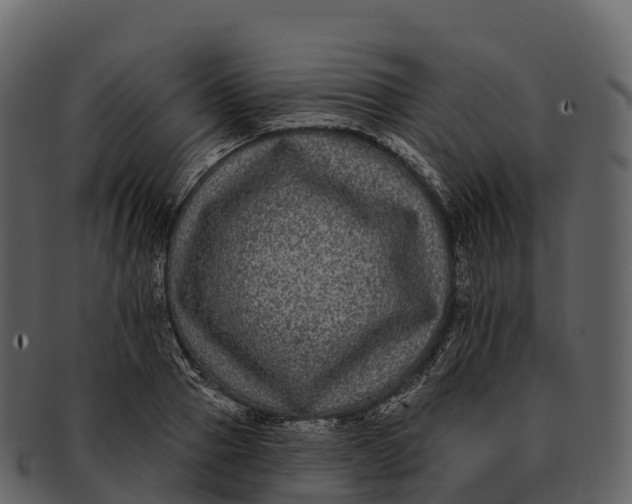 X0000092320937200710051254
